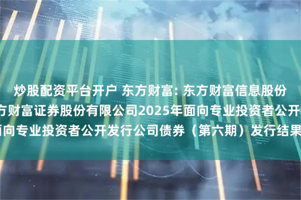 炒股配资平台开户 东方财富: 东方财富信息股份有限公司关于子公司东方财富证券股份有限公司2025年面向专业投资者公开发行公司债券（第六期）发行结果的公告